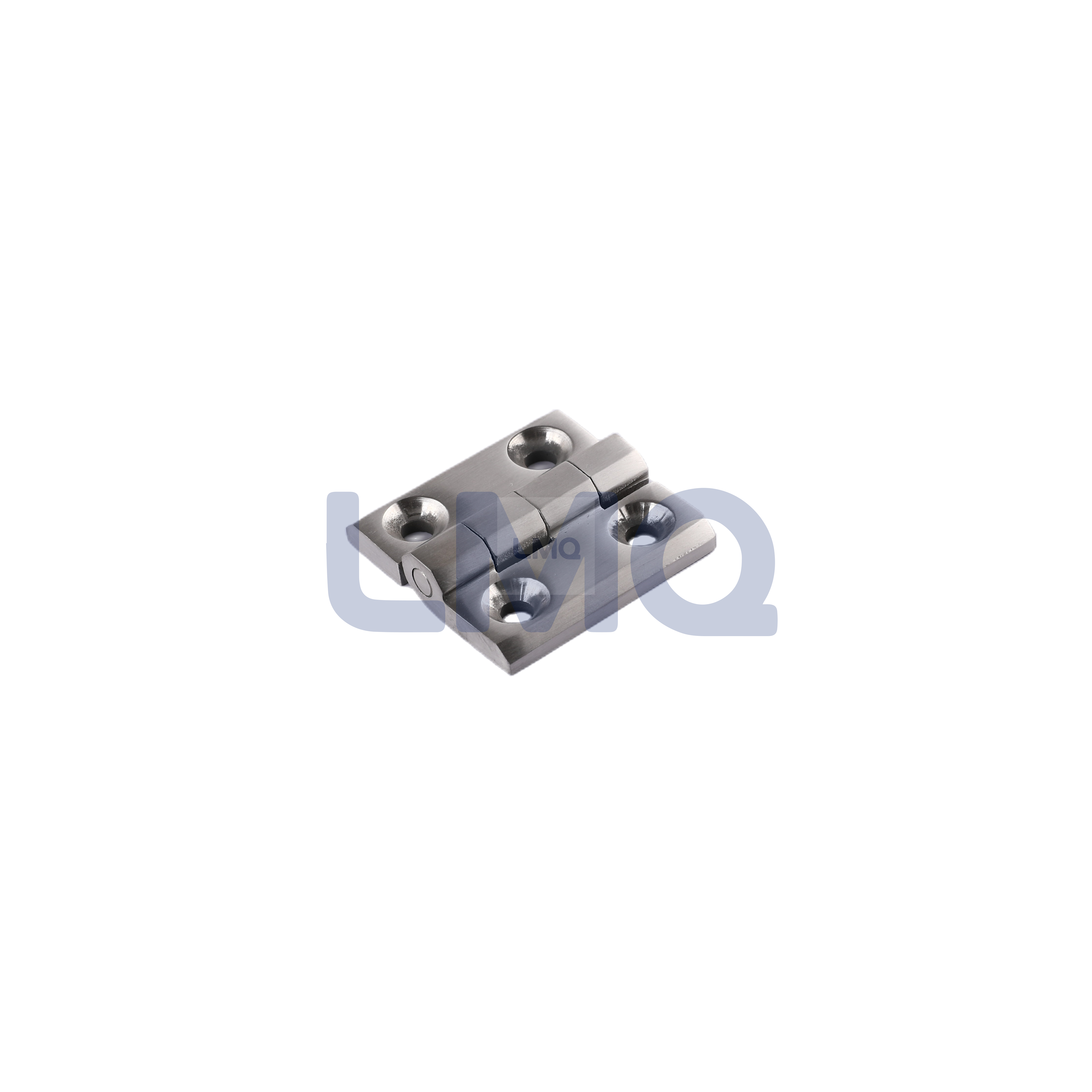 JL-5050-316 Stainless Steel Hinge, Casting, AISI316 Marine Level